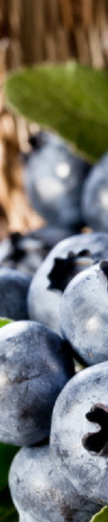 newsite-blog-listing-images-13.png